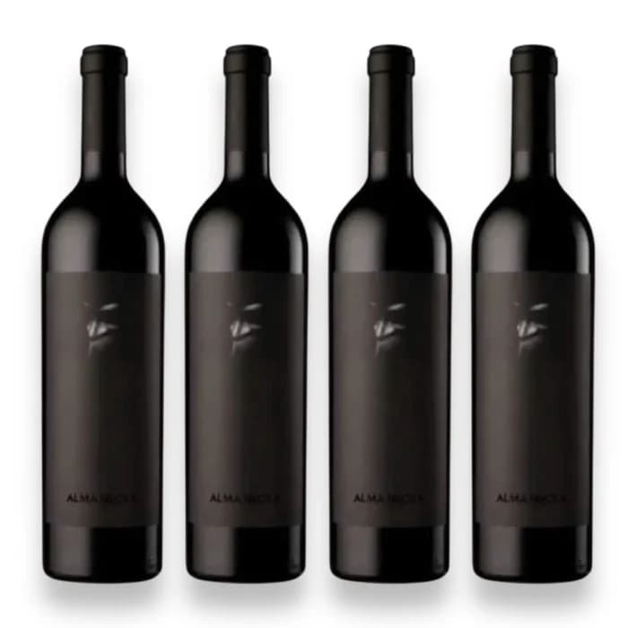  Kit 4 Vinhos Alma Negra